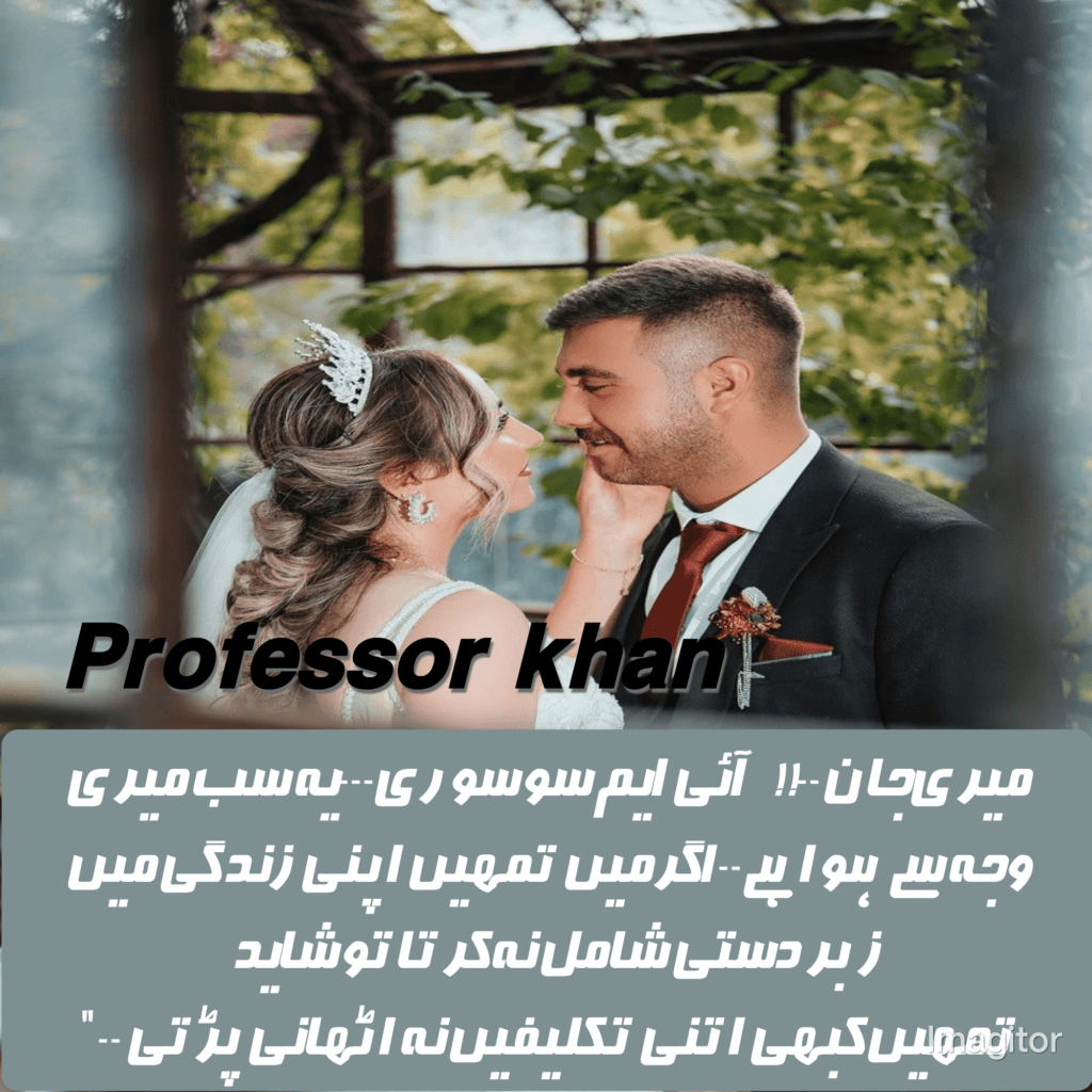 professor khan novel by zanoor writes