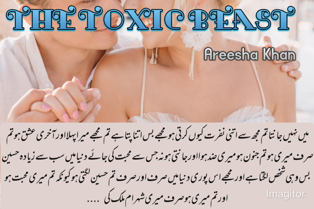 The Toxic Beast novel by Areesha Khan